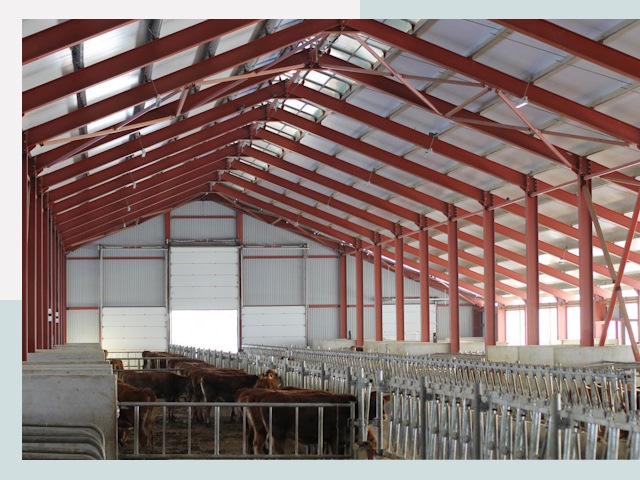 Строительство коровников в Нефтеюганске