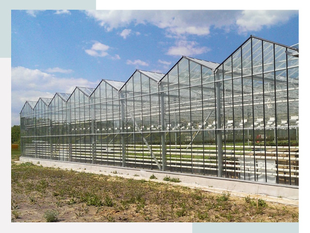 Строительство теплиц в Нефтеюганск от 610 руб. за м²