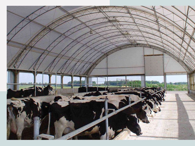 Тентовые коровники в Нефтеюганске